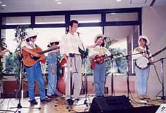 �啪����d������